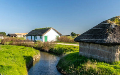 Zoom sur… Le Daviaud, porte d’entrée du Marais Breton Vendéen