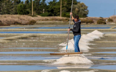 A la découverte du métier de Saunier