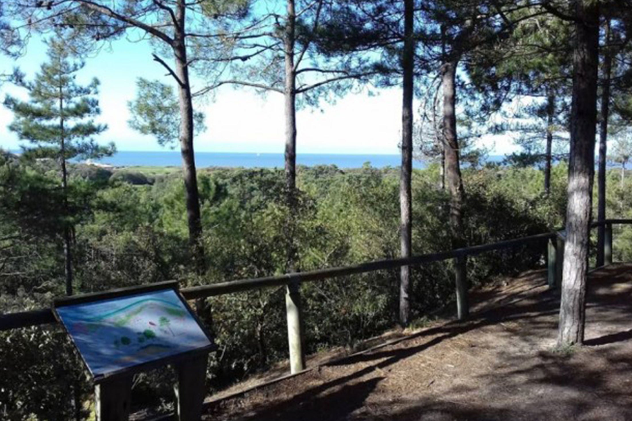 LES PLUS BEAUX PAYSAGES DE LA VENDEE MARAICHINE