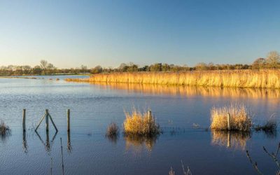 Comment le Marô peut-il être un marais breton et vendéen à la fois ?