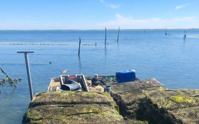 À la rencontre d’un ostréiculteur du Marais Breton Vendéen