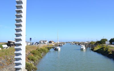 La gestion hydraulique dans le Marais Breton Vendéen