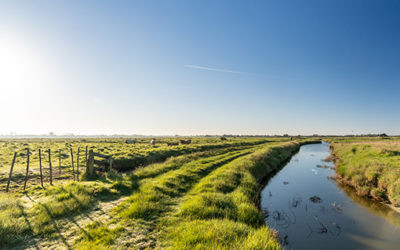 Les plus belles randonnées pédestres dans le Marais Breton Vendéen