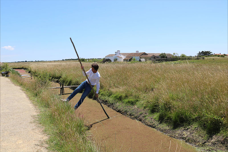 huître de Vendée