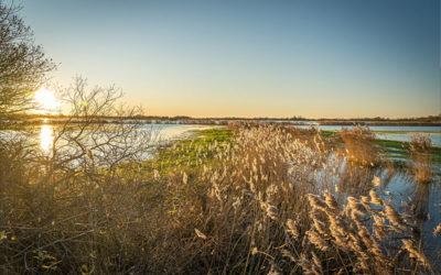 Agenda de l’été 2023