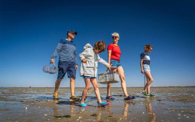 La pêche à pied dans le Marais Breton Vendéen